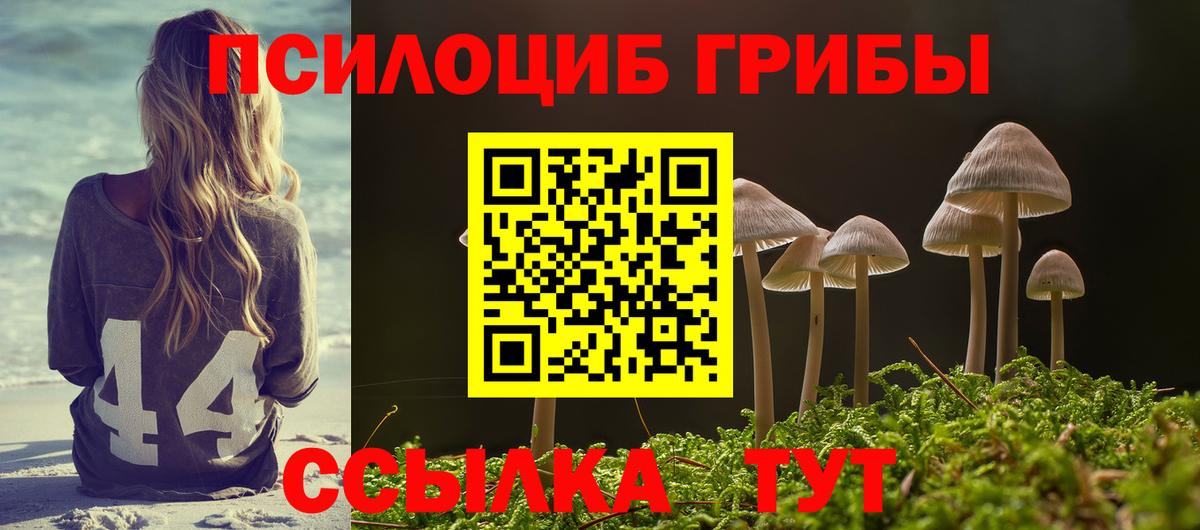 Псилоцибиновые грибы MAGIC MUSHROOMS  Вход с VPN  наркошоп  Псилоцибиновые грибы Psilocybe  Сердобск 